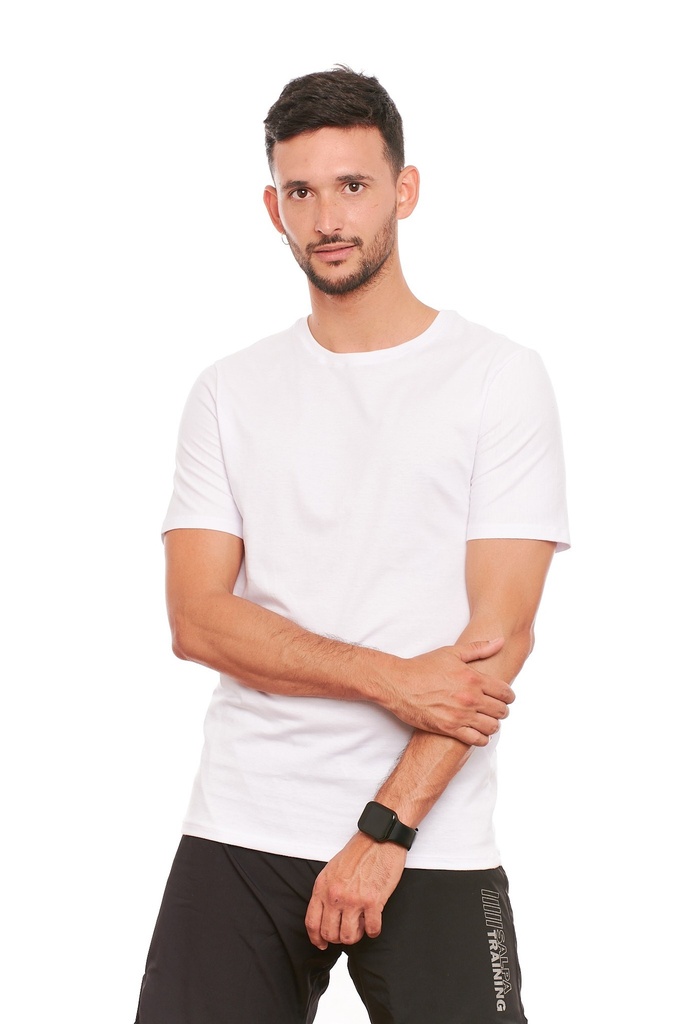Remera Andes